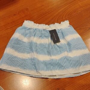 Blue and White Striped Skirt